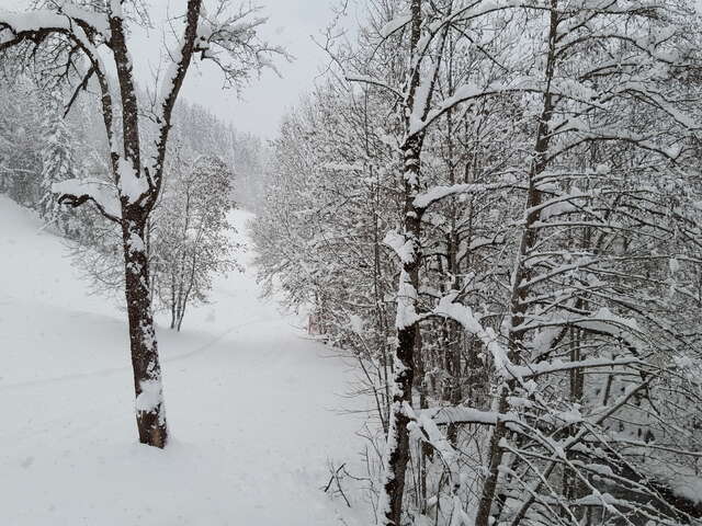 Itinéraire piéton - raquettes 19 - La Vallée du Bouchet