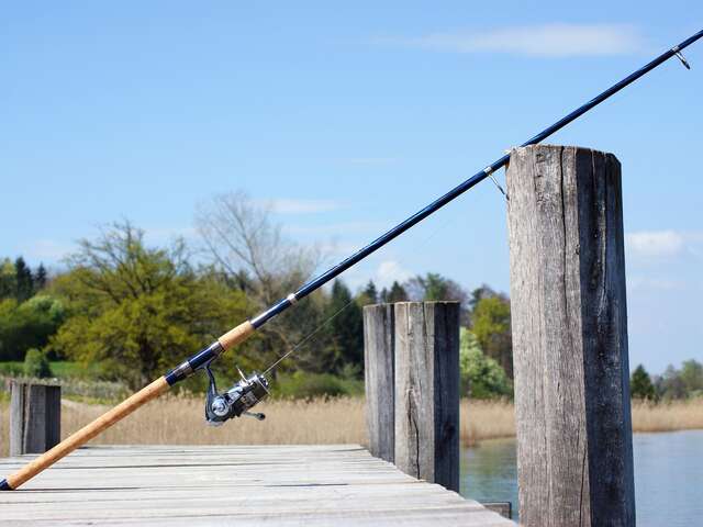 Stage ado coup feeder carpe (2 jours)