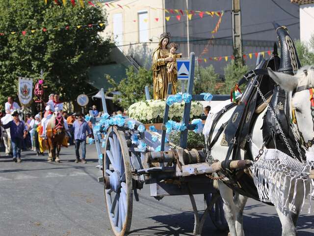 Cavalcade