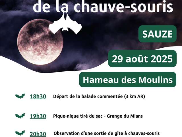Nuit internationale de la chauve-souris