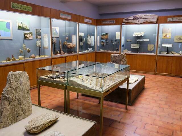 Visite-atelier du mercredi - Herbiers scientifiques et herbiers rêvés