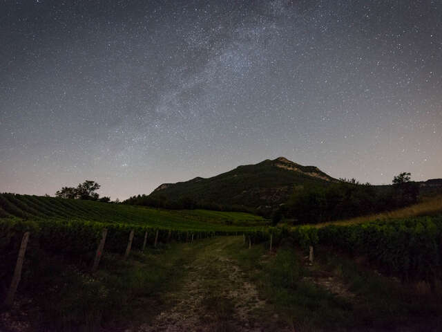 A la croisée des vins et des étoiles