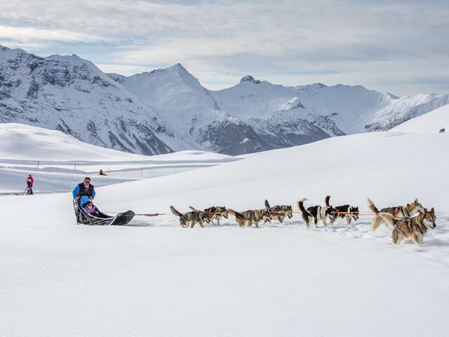 Alpi Traineau sled dogs and igloos - Alpi Traineau