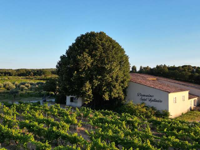 Domaine Saint Apollinaire