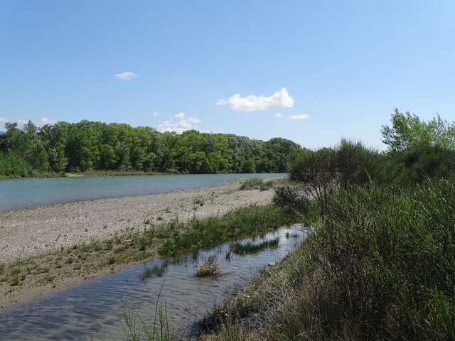 Les balades au fil de l'eau - Rives de la Durance