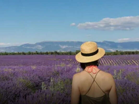 Visit winery and lavender farm