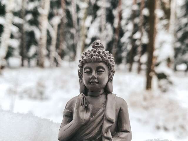 Stage de méditation "Se Transformer"