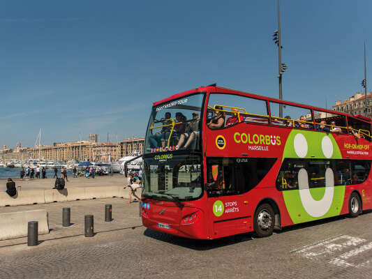 Hop-On Hop-off City Sightseeing Bus Tour