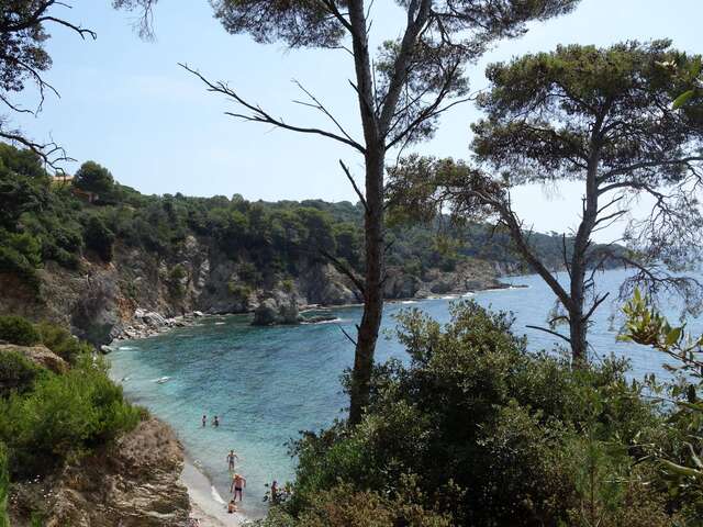 Sortie biodiversité du littoral à Giens