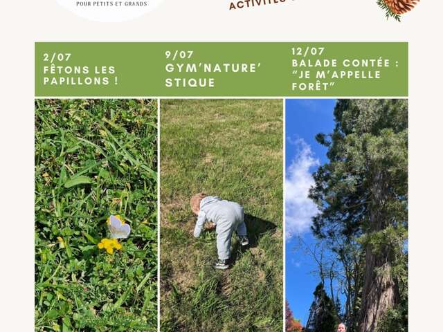 Les Ateliers des Babets - Ecrire en forêt