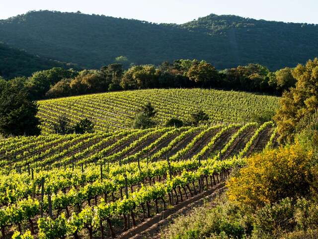 Giornate del Patrimonio: Tenuta del Val d'Astier