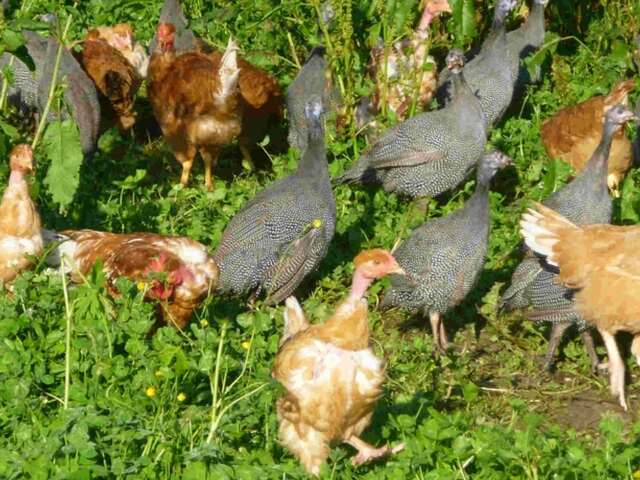 Ferme des Echelles
