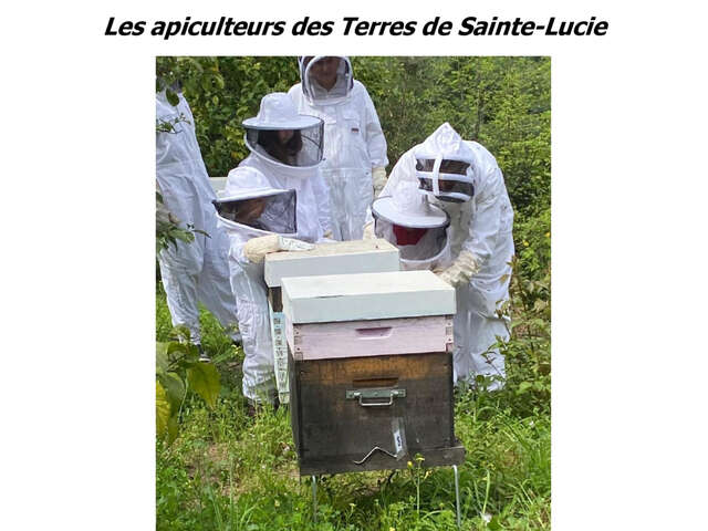 Conférence "Abeilles et Apiculture : Une aventure fascinante"