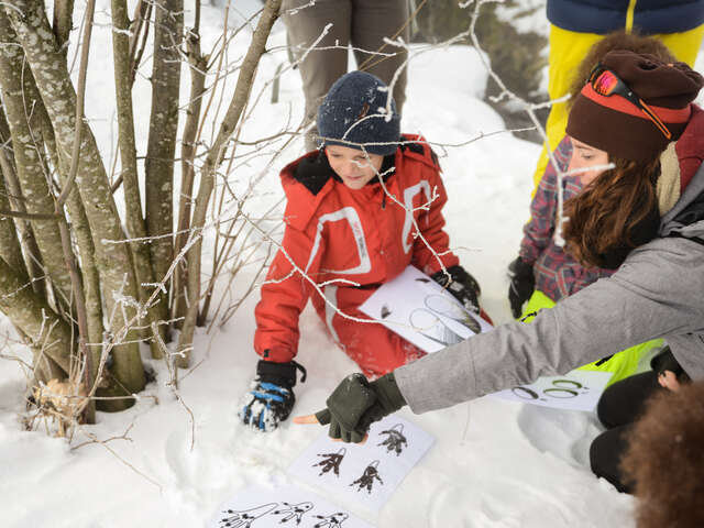 Family activity: Animal tracks and clues