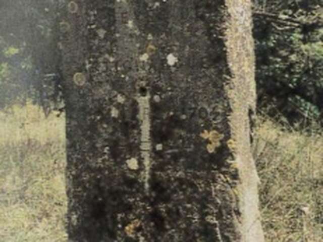 Stèle du Mas Nouguier à Saint Cézaire de Gauzignan