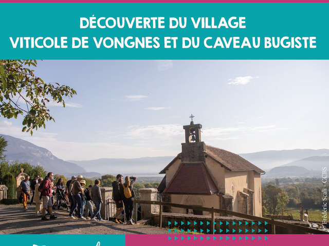 Visite gourmande : découverte du village viticole de Vongnes
