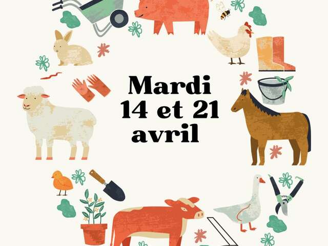 Stage à l'écurie et à la ferme
