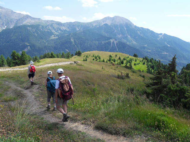 Randonnée - Accompagnateurs en montagne du Champsaur