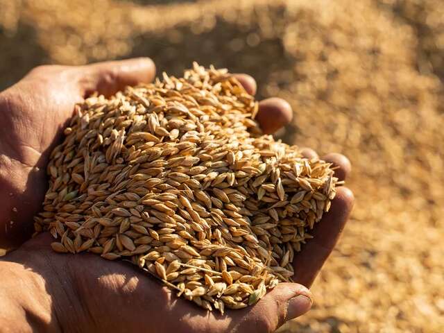 Les Chineurs de Malts - Artisans Distillateurs