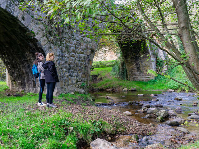 GR® de Pays Rails et rambertes