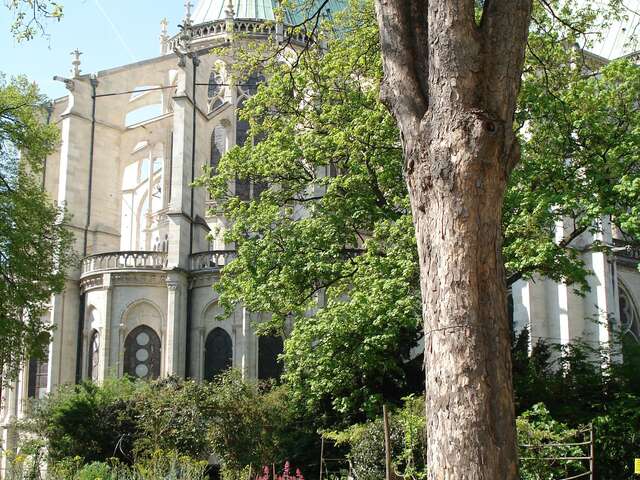 Visita taller - Descubrir la basílica y su jardín medieval