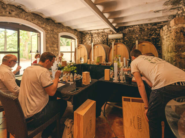 Atelier pastis à la Maison Ferroni
