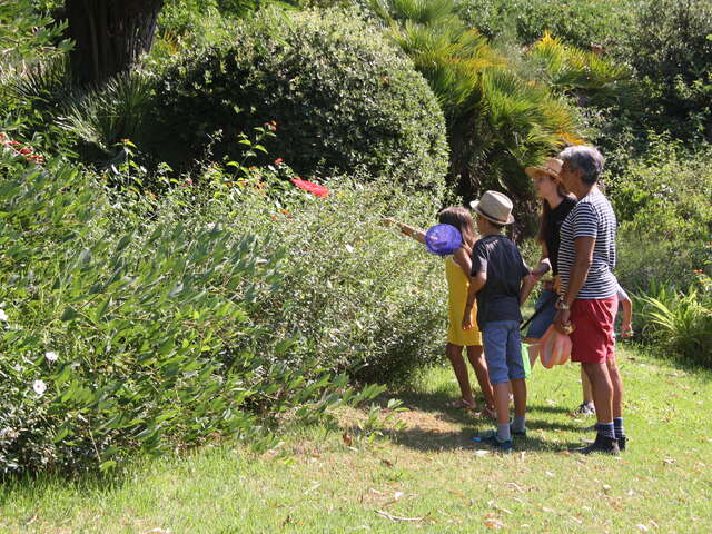 Activité enfant "Les petites bêtes de nos jardins"