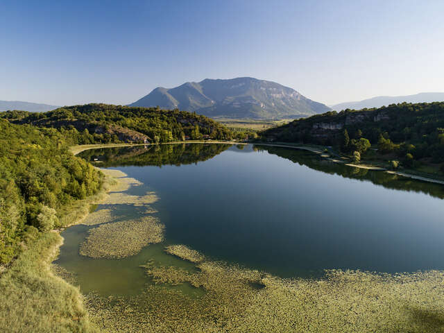 Circuit de randonnée pédestre : Lac et vignobles