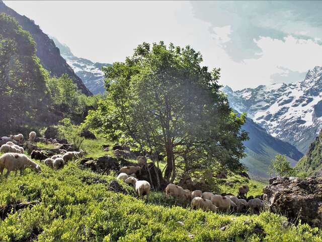 La boucle de Tiriére depuis le Gioberney