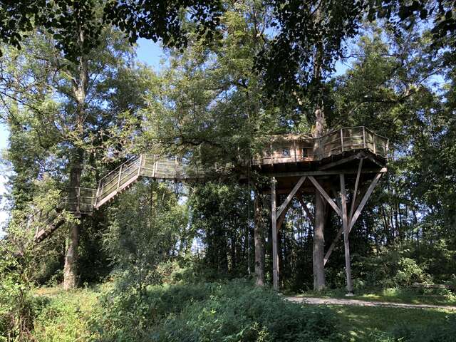 Cabane perchée des Feuilles - DDLD