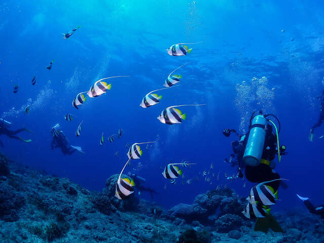 Plongée d'exploration autonome et encadrée - Blue Caledonia Diving