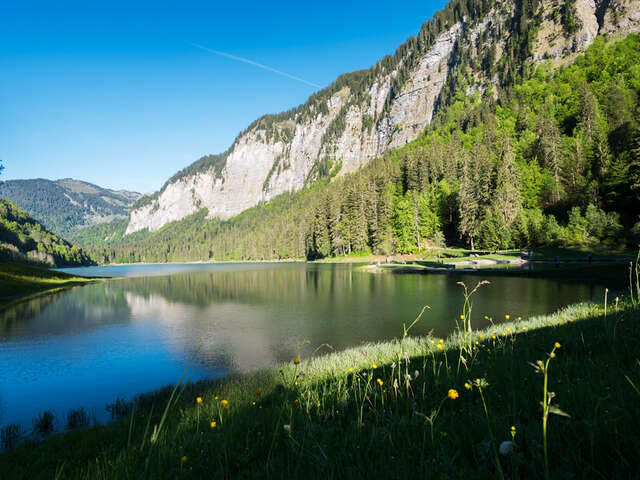 Vallée d'Aulps Tourisme - Bureau administratif
