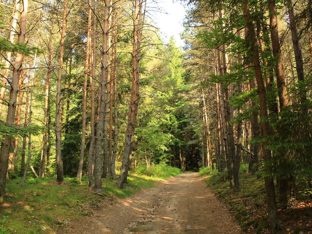 Sentier des bois, le Pas de St-Martin