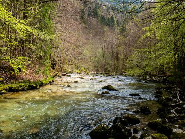 Animation nature : la rivière et les crues