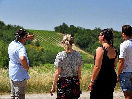Trail through the heart of our vineyard