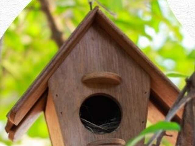 Atelier "Oiseaux et nichoirs" - L'envers du Grenier