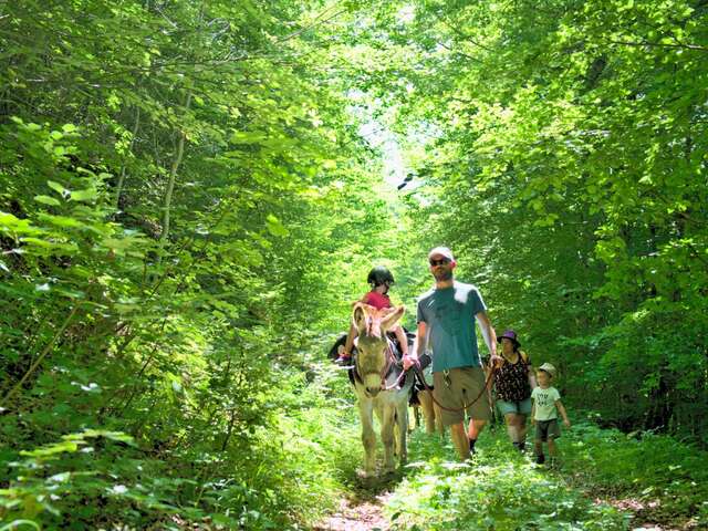 Sortie Nature Âne et Montagne en Famille - Altimood