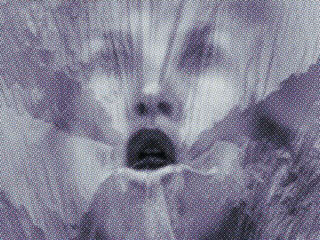 Exposition sous le regard de Méduse