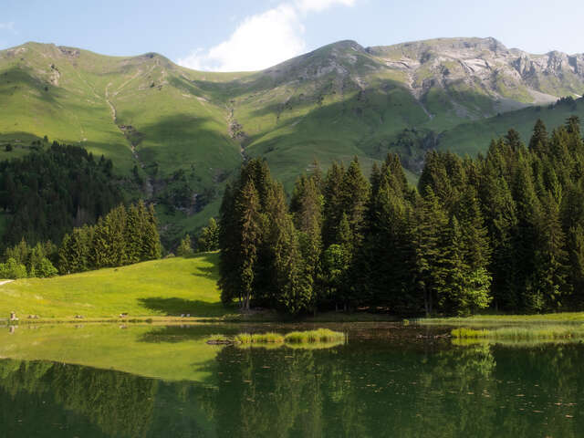 Atelier créatif : Montagne d'été