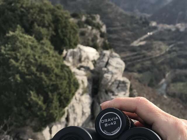 La virée sauvage - Youpi Tours