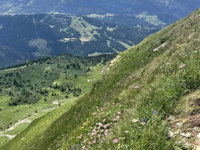 Pointe de Ressachaux