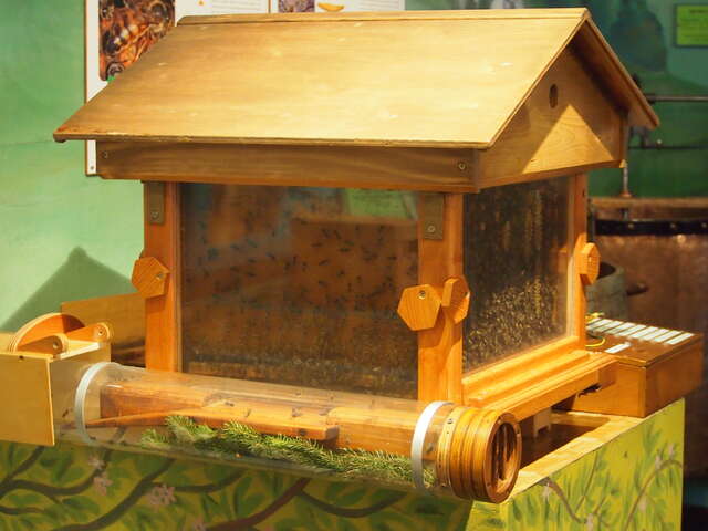 Le monde secret des abeilles