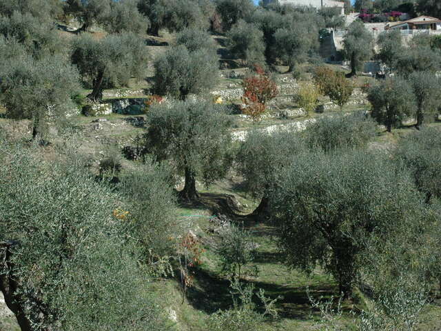 Ferme de San Bastian