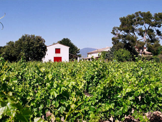 Apéritif Vigneron au Domaine de Marotte