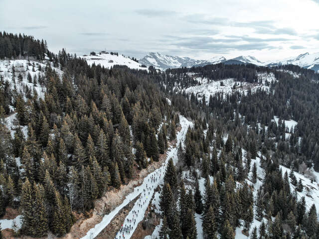 Trail de l'Aigle Blanc 2026