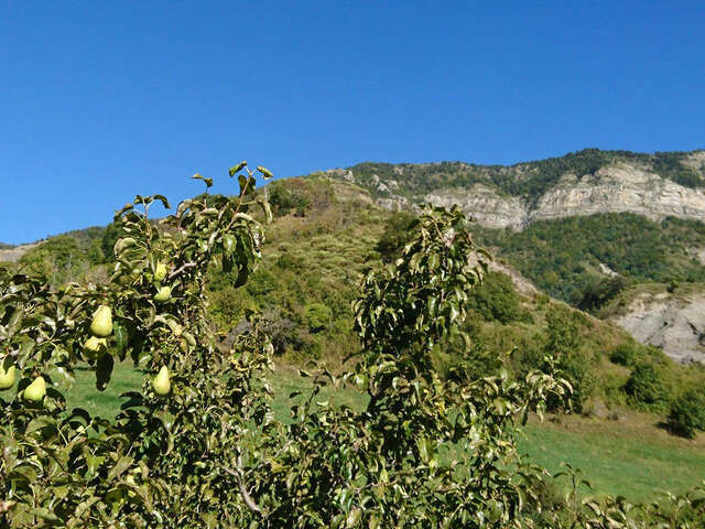 GAEC l'Etoile du Berger