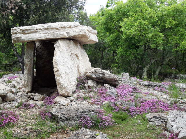 Aven d'Orgnac - Les conférences de la Cité  - Les dolmens, une pratique funéraire de la fin du Néolithique