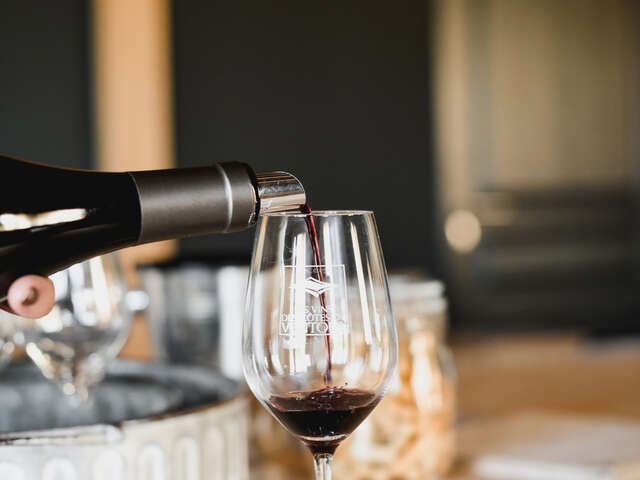 Dégustation au Domaine Vindemio