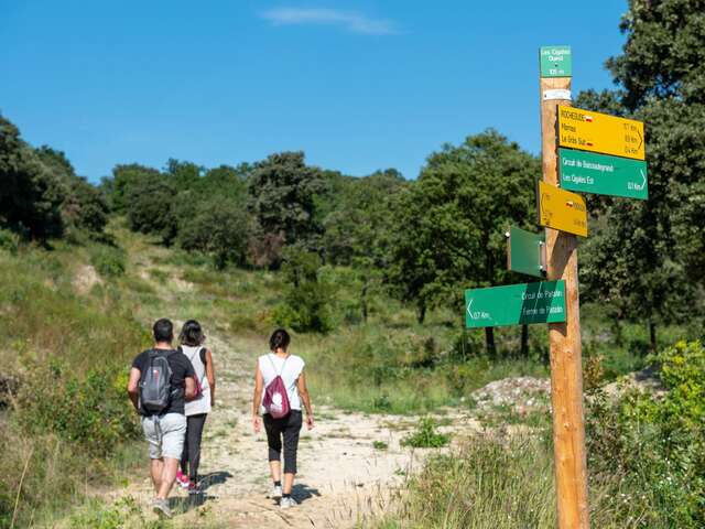R05  Circuit de Vachères - Mondragon