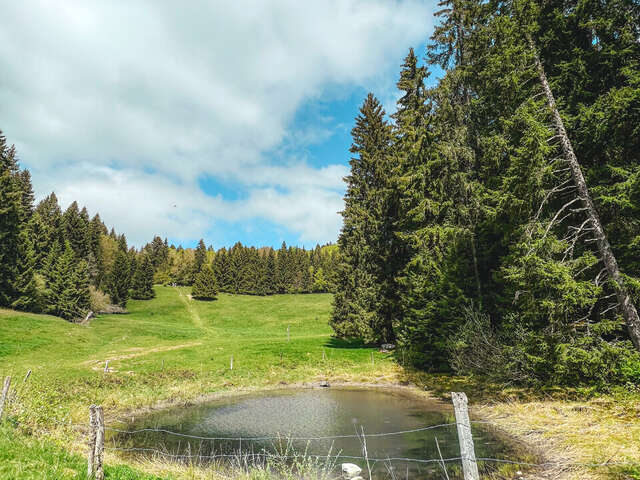 Walking loop : l'Alpage de l'Iselet